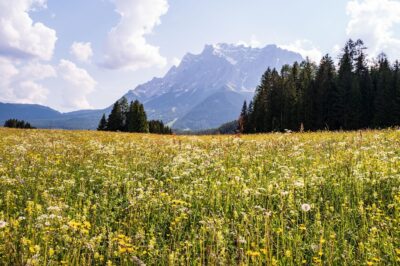 Why Social Media Is Both a Blessing and a Curse